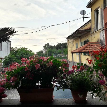 La Caldera Del Vesuvio Bed & Breakfast Ерколано Екстериор снимка